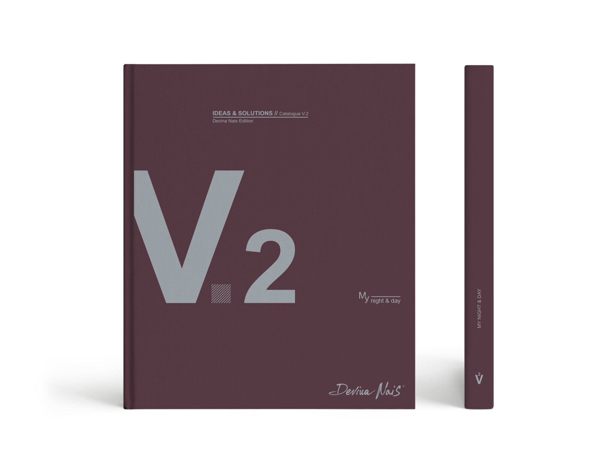 V2_1